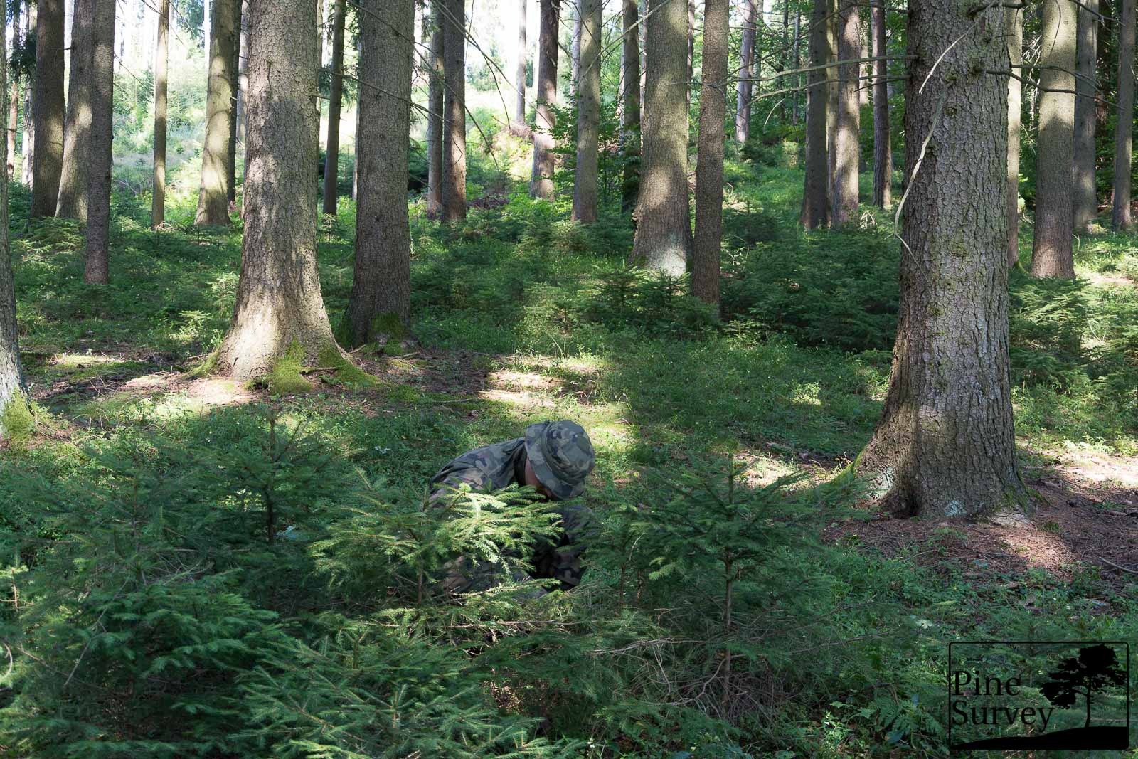 PL Woodland, kneeling with 35mm zoom