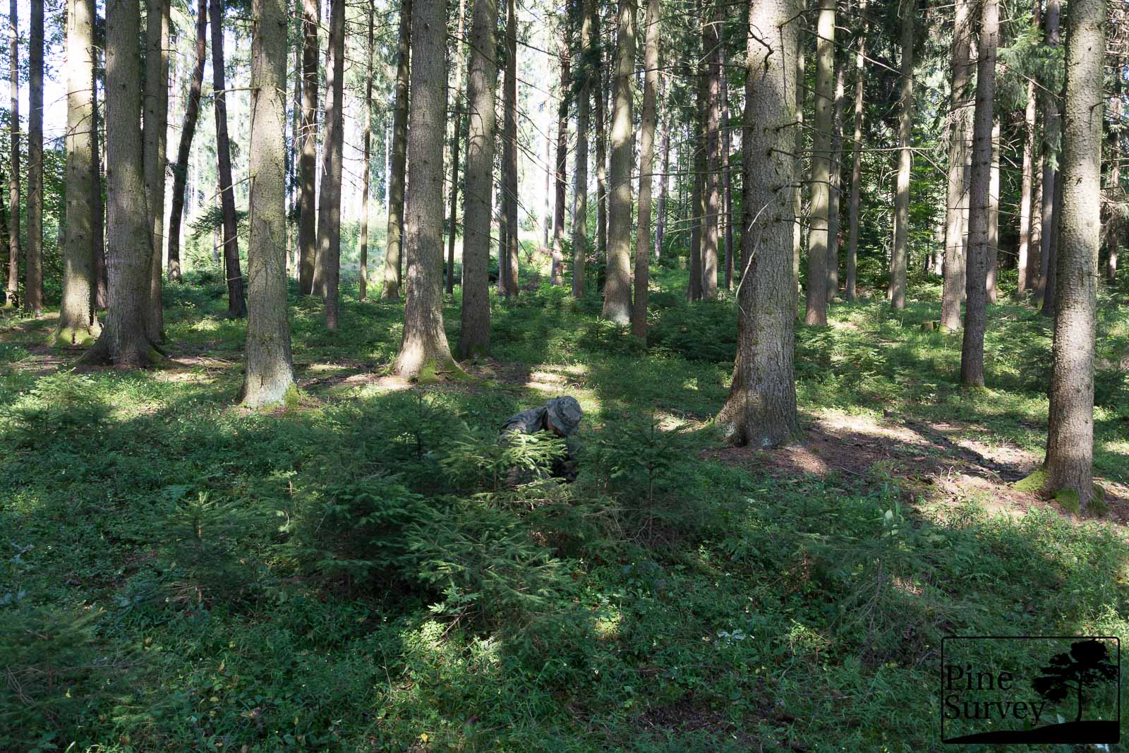 PL Woodland in the kneeling position - wide angle