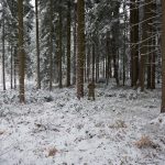 Fieldtest: Regular Camouflage patterns in Winter time – part 2