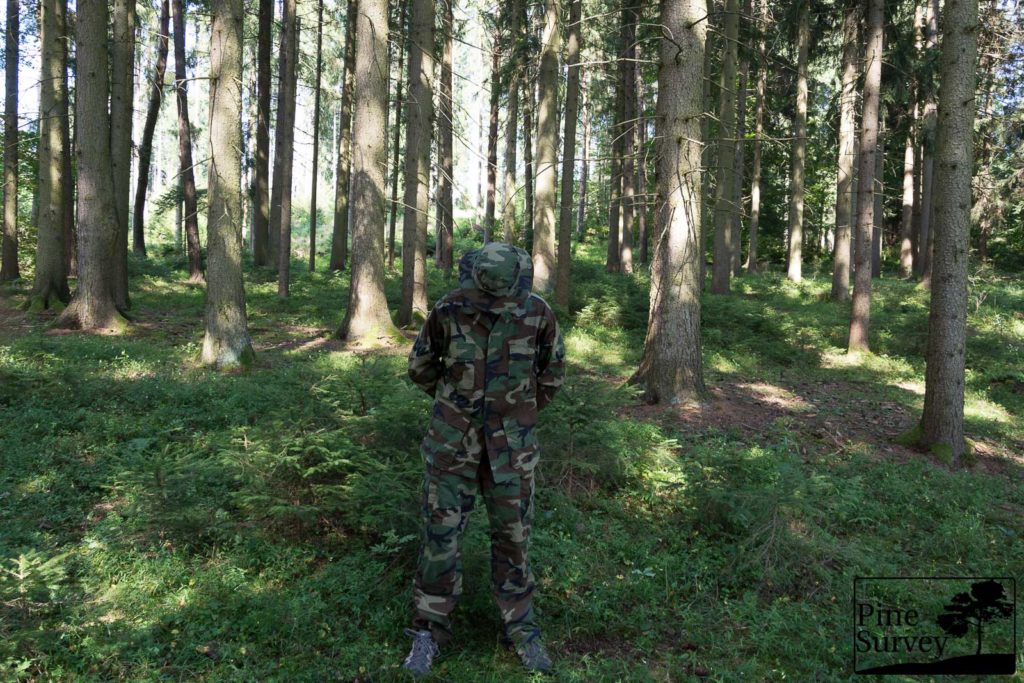 Fieldtest: US M81 versus PL Woodland - Pine Survey