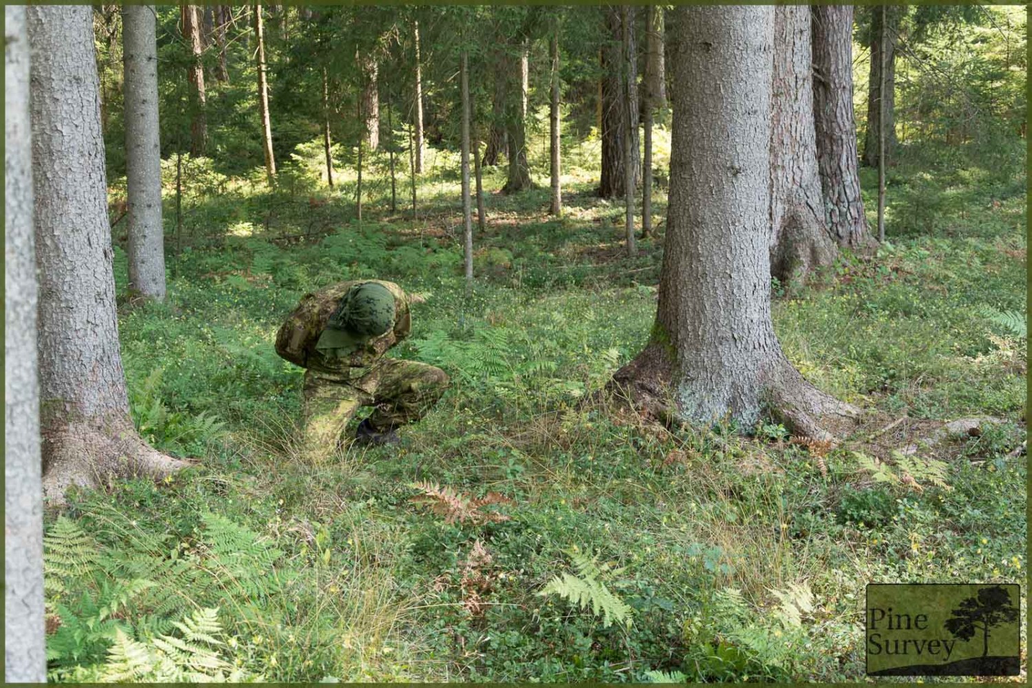 Field Test: ConCamo - Confusion Camouflage - Pine Survey