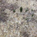 Eyes in the Sky – Field Test: PenCott Camouflage Badlands