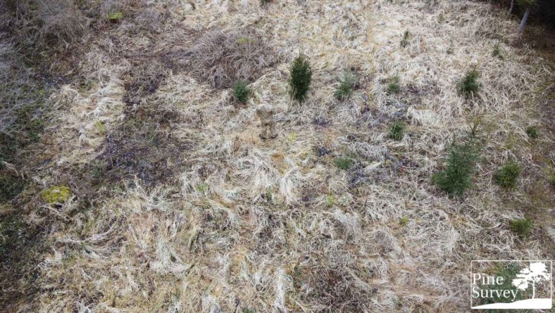 Geschützt: Eyes in the Sky – Field Test: PenCott Camouflage Badlands