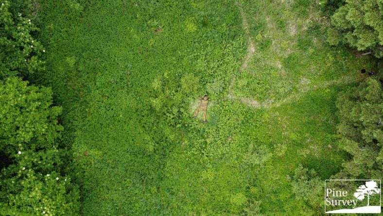 Eyes in the Sky – Fieldtest: PenCott Camouflage Greenzone